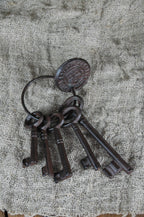 Bunch of keys with coin