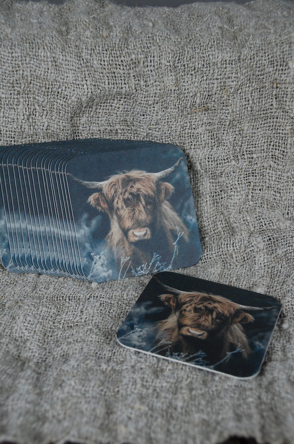 Felt coasters (Highland cow) in wooden holder