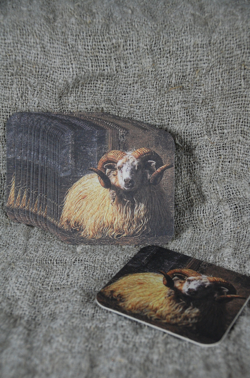 Felt coasters (sheep) in wooden holder